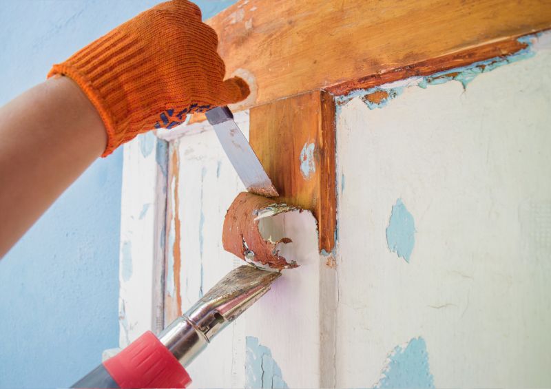 Paint Stripping Service